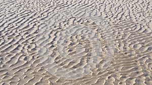Baltic Sea Coast And Sand Trace