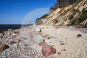 Baltic sea coast with sandy beach and cliff overgrown with trees on Wolin island photo
