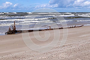 Baltic Sea coast and wild beach next to moving dunes in the Slovincian National Park