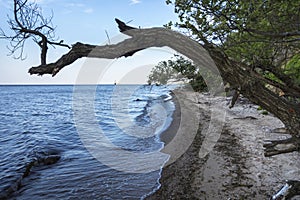 Baltic sea coastline, Gdynia, Poland