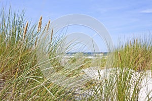 Baltic sea dunes beautiful landscape