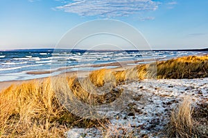 Baltic sea with golden dune grass