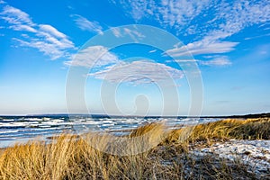 Baltic sea with golden dune grass