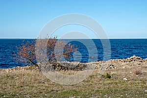Baltic sea island Ã–land, Sweden