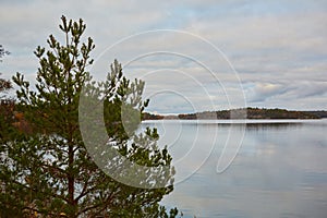 Baltic sea meets rocks in stockholm archipelago.