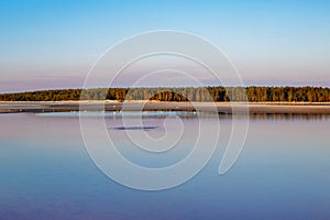 Baltic sea, perfect reflection, forest during sunset