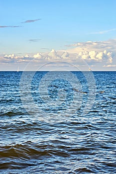 Baltic Sea with sailboat and industrial ship under beautiful clouds