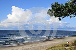 Baltic Sea shore