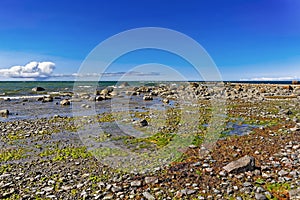 Baltic sea shore