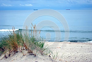 Baltic sea shore, dunes, sand beach, blue sky