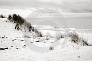 Baltic sea shore, dunes, sand beach, blue sky