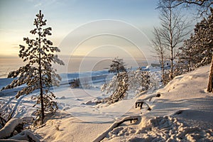 Baltic sea shore in winter