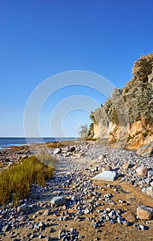 Baltic Sea steep coast of sand with shrubs in Hohenkirchen