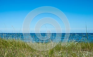 Baltic sea in the summer. Seascape with blue sky and horizon