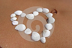 Baltic seashells on the skin 3. BaÅ‚tyk.