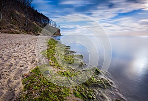 Baltic shore overgrown with algae