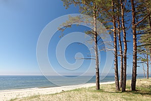Baltic shore scenic