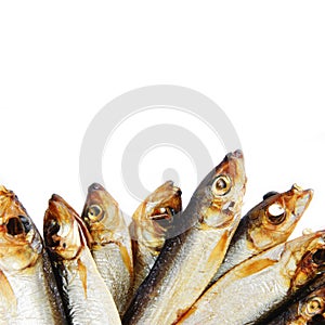 Baltic smoked fish isolated on white