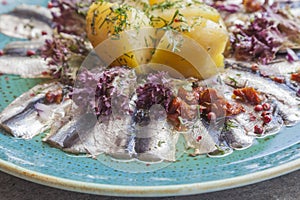 Baltic sprat, fillet. Traditional appetizer on the Baltic Sea