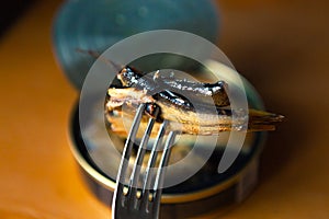 Baltic sprat in oil worn on a fork