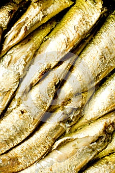 Baltic sprats