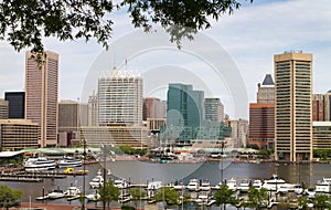 Baltimore City Inner Harbor