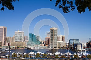 Baltimore Harbor Skyline