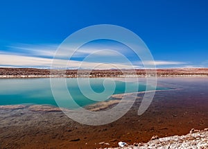 Baltinache lagoon and Licancabur volcano in the skyline