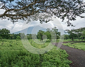 Baluran National Park