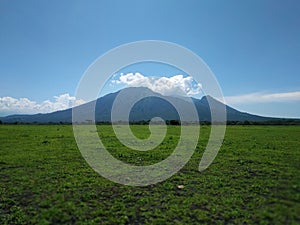 Baluran Savana Forest in Situbondo