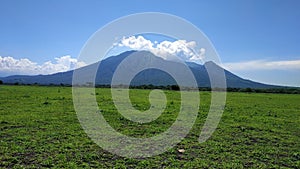 Baluran Savana Forest in Situbondo