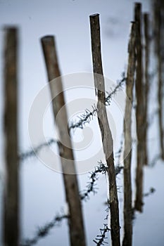 Balustrade photo