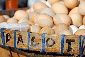 Balut (duck egg) in market