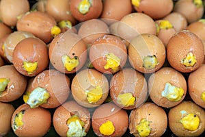 Balut Eggs Phnom Penh Cambodia Strange Food