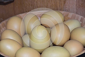 Balut is a fertilized developing egg embryo