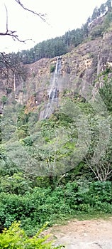 Bambarakanda Water Falls In Sri Lanka