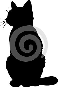 Bambino Cat Black Silhouette Generative Ai photo