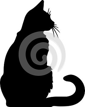 Bambino Cat Black Silhouette Generative Ai photo