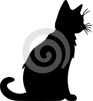 Bambino Cat Black Silhouette Generative Ai photo