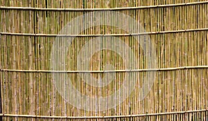 Bambo background with texture for banner, campaigns or graphic use.