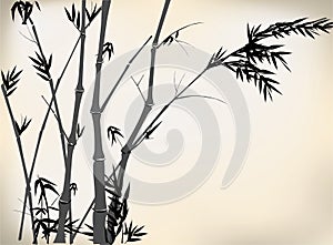 Bamboo