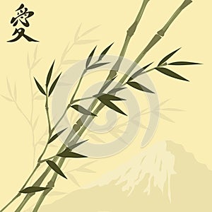 Bamboo