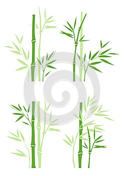 Bamboo