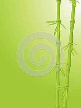 Bamboo background