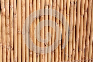 Bamboo Background