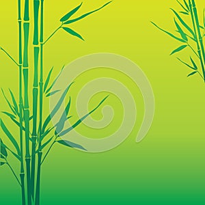 Bamboo background