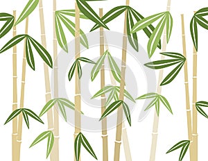 Bamboo background