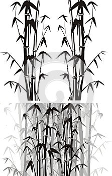 Bamboo background - black and white