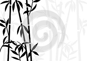 Bamboo background japanese asian plant wallpaper grass. Bamboo tree vector pattern black and white