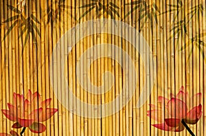 Bamboo background with lotus